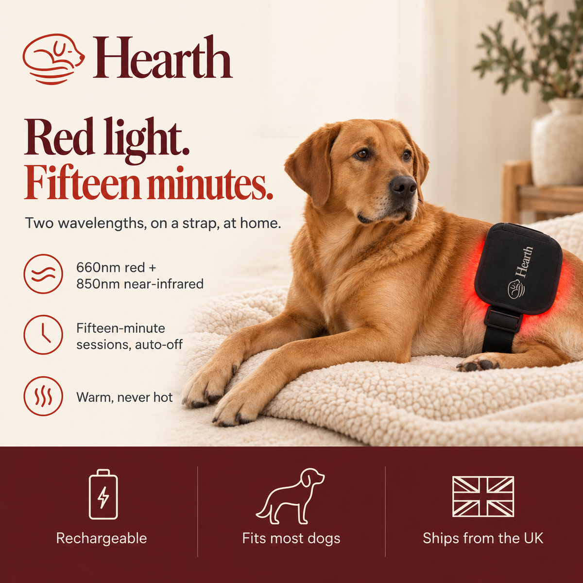 Hearth - Pet Red Light Pad