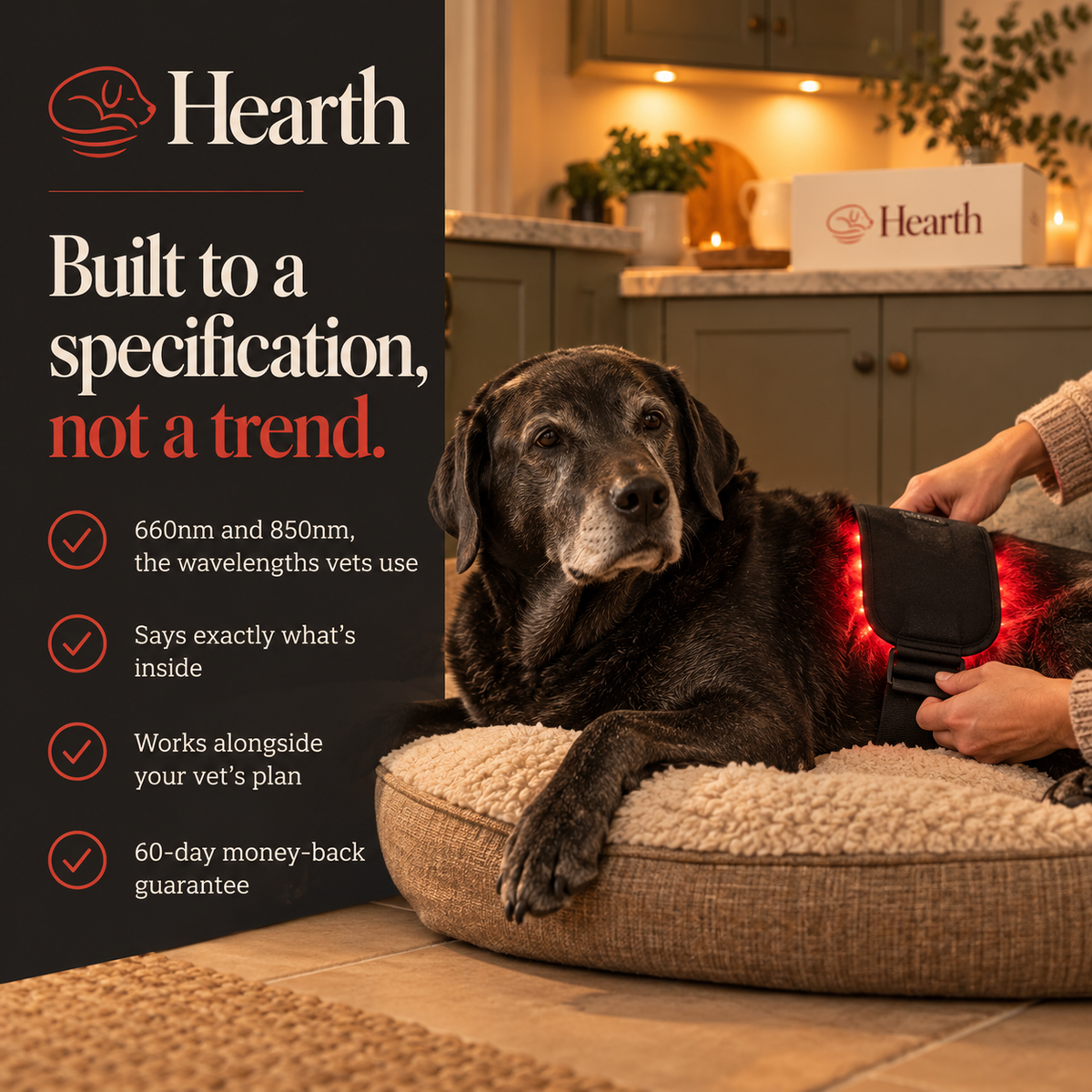 Hearth - Pet Red Light Pad
