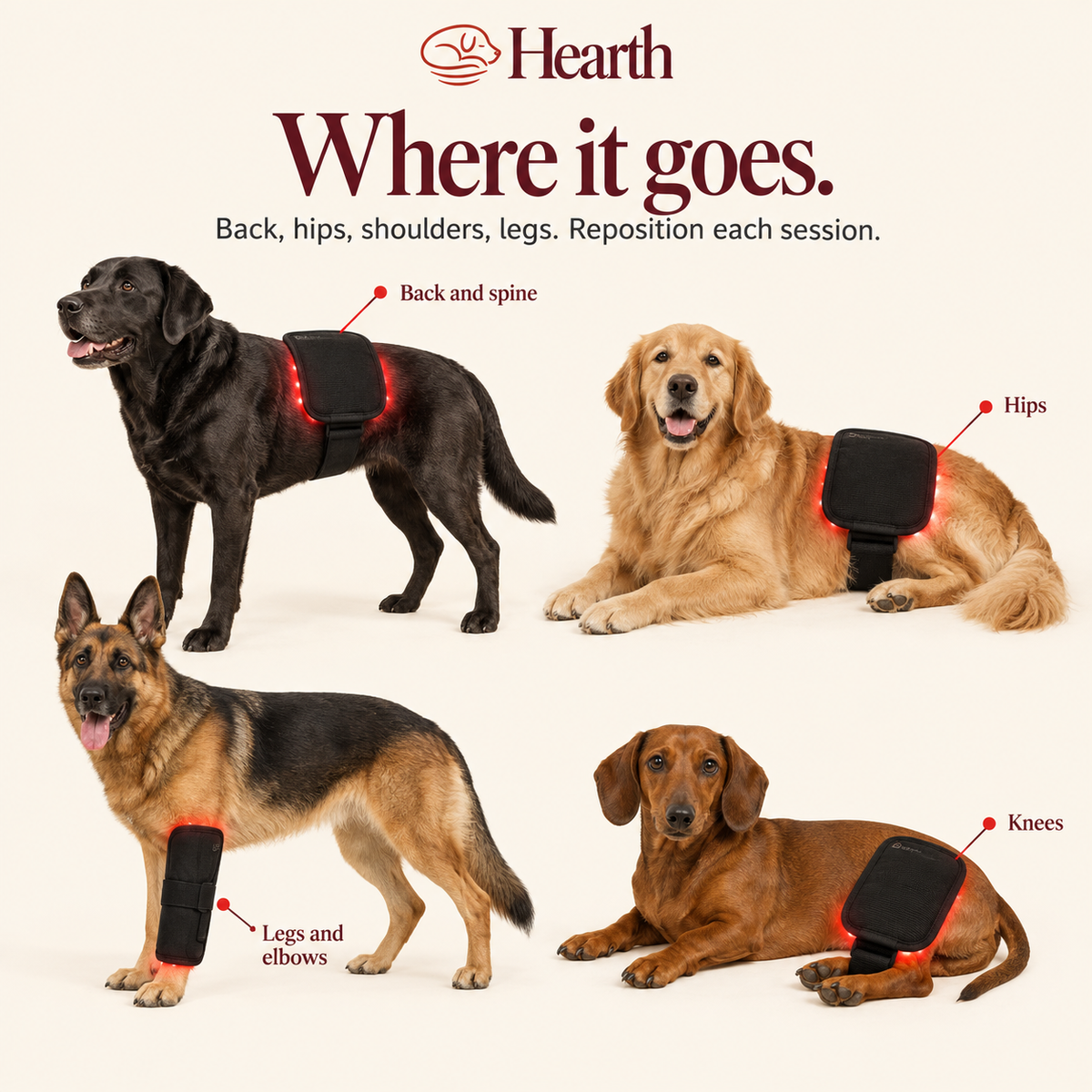 Hearth - Pet Red Light Pad